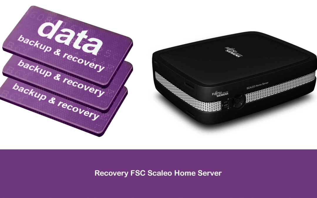 Recovery FSC Scaleo Home Server
