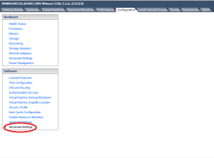 Abilitare VmWare Vsphere ESXi Ad Inviare I Log Ad Un Syslog Server