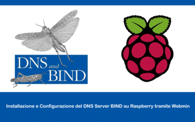 Installazione e Configurazione del DNS Server BIND su Raspberry tramite Webmin