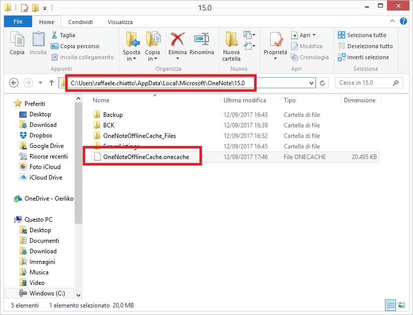 Cancellare la cache in Microsoft OneNote 2013